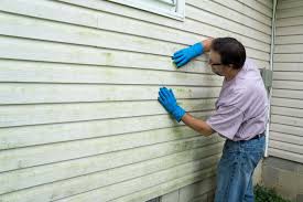 Affordable Siding Repair and Maintenance Services in Meadow Lake, NM